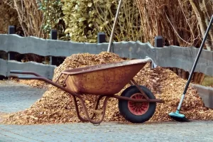 composto_urbano_para_fertilizar_suas_plantas